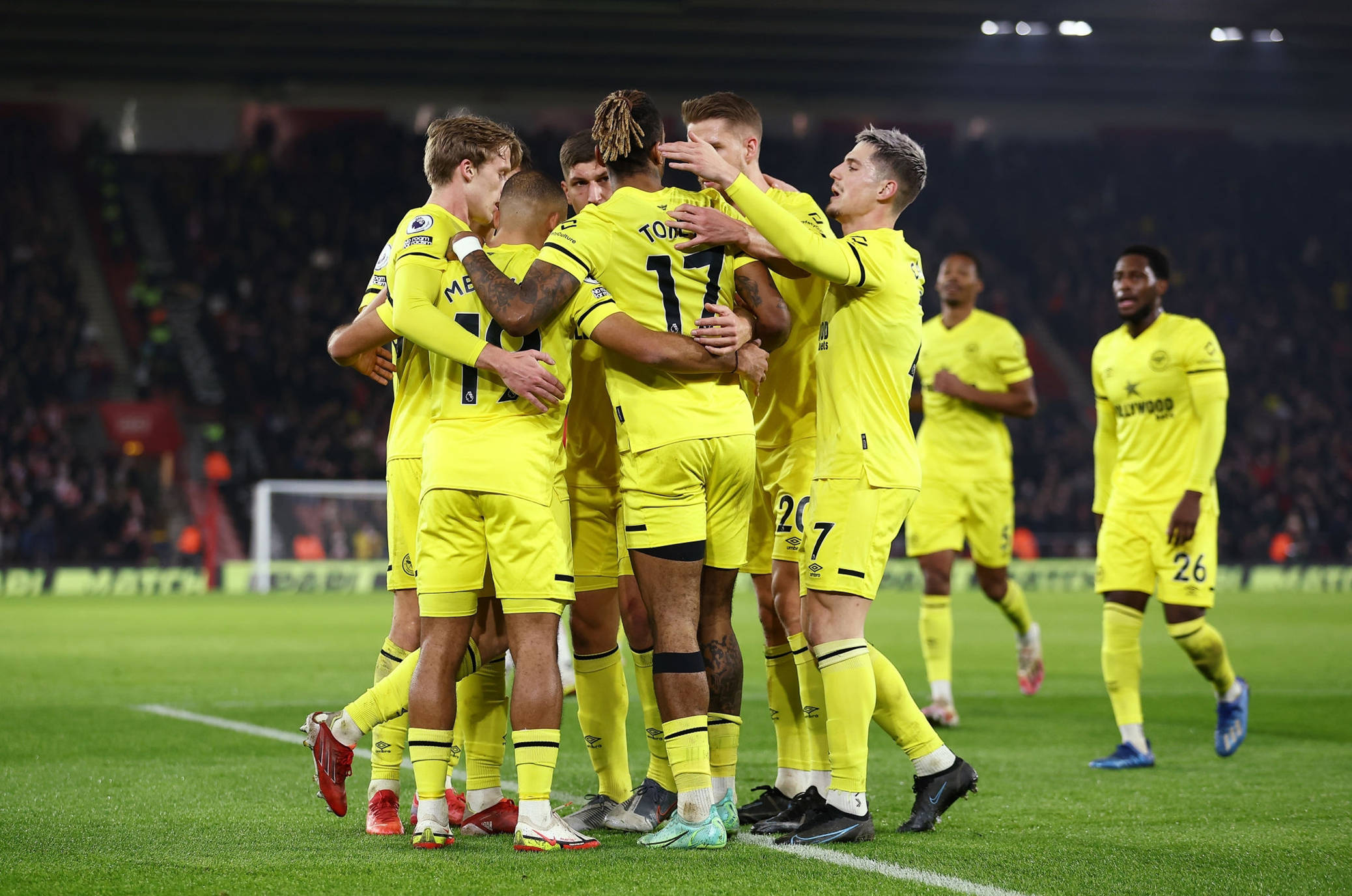 年来在羽毛 年来在羽毛