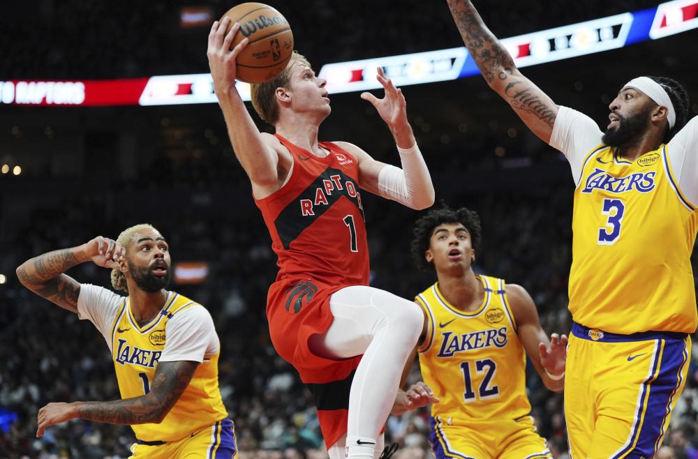 二元结构 二元结构